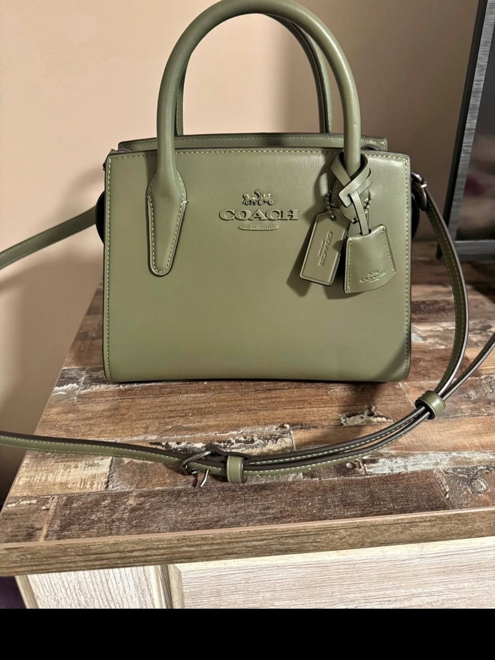 Coach ANDREA Carry All Olive Leather Mini Satchel with Detachable Strap NWOT